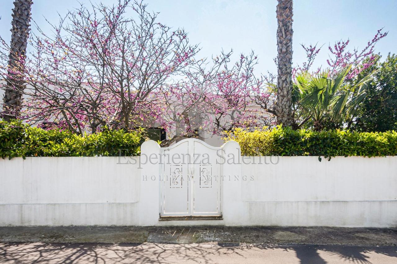 Breezy Beach House Villa Marina di Mancaversa Exterior photo